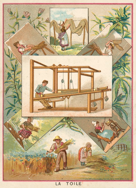 Canvas by French School