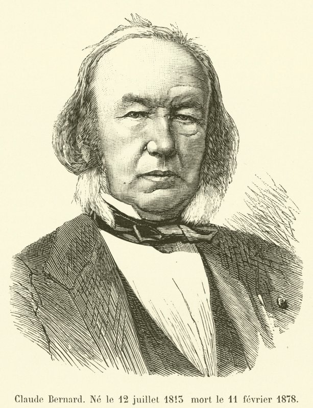 Claude Bernard, Born July 12, 1813, Died February 11, 1878 by French School