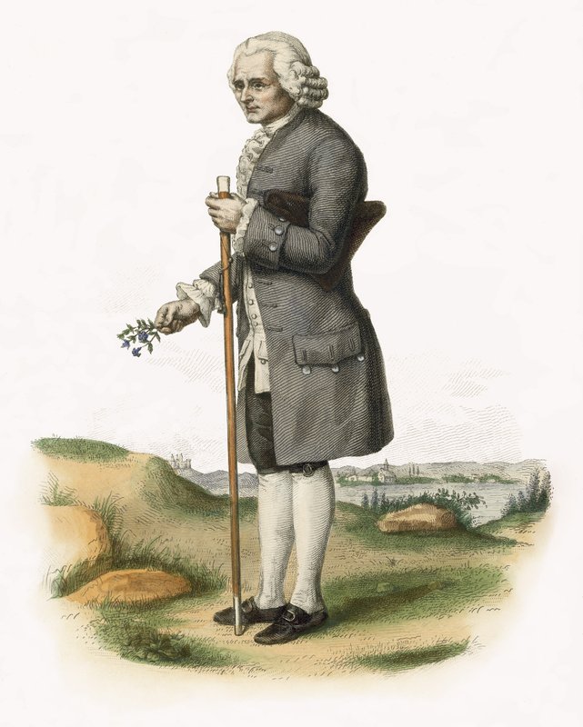 Jean Jacques Rousseau by French School