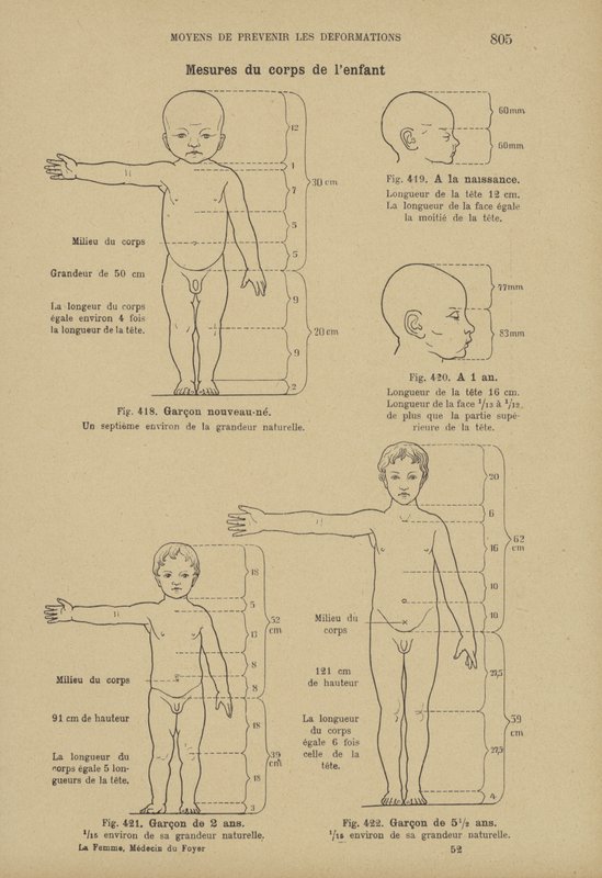 Measurements of the Ideal Proportions of a Normal Child