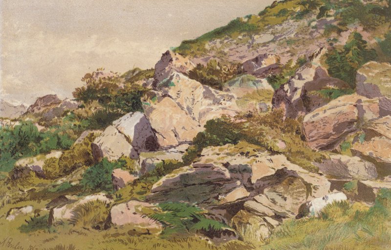 Study of Stones on the North Side of Taliaris, near Llandilo, South Wales by Aaron Edwin Penley