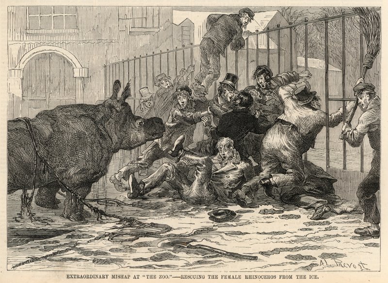 Rescuing the female rhinoceros from the ice by Abbé Prévost