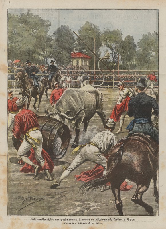 Characteristic festivals, a Roman joust of cows at the velodrome in the Cascine, Florence by Achille Beltrame
