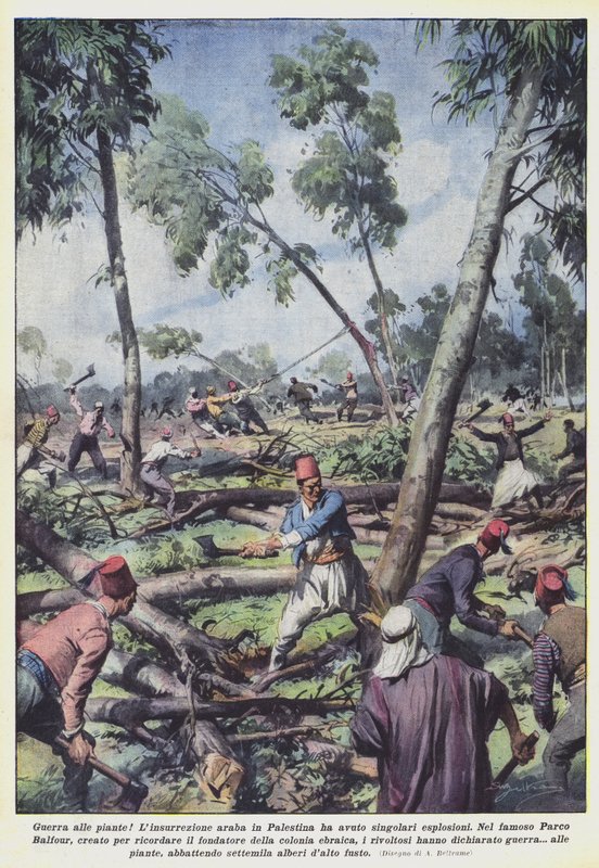 War on plants! by Achille Beltrame