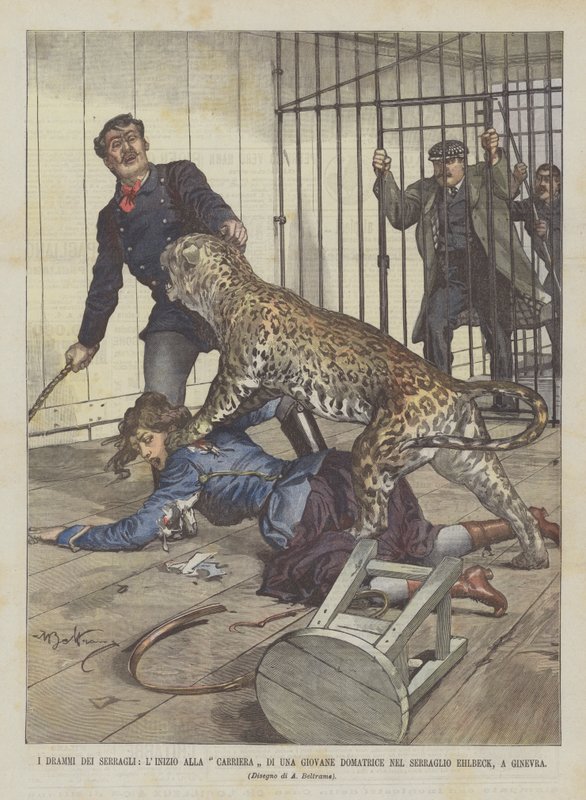 The Dramas of the Menageries, the Beginning of the Career of a Young Tamer in the Ehlbeck Menagerie in Geneva by Achille Beltrame