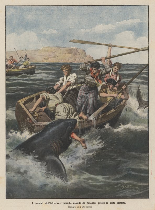 The dramas of the Adriatic, girls attacked by sharks near the Dalmatian coast by Achille Beltrame