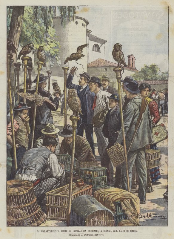 The Characteristic Bird Fair at Cisano, on Lake Garda by Achille Beltrame