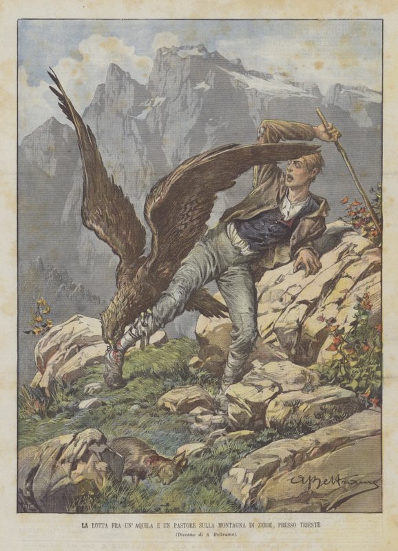 The Struggle Between an Eagle and a Shepherd on the Zerie Mountain, Near Trieste by Achille Beltrame