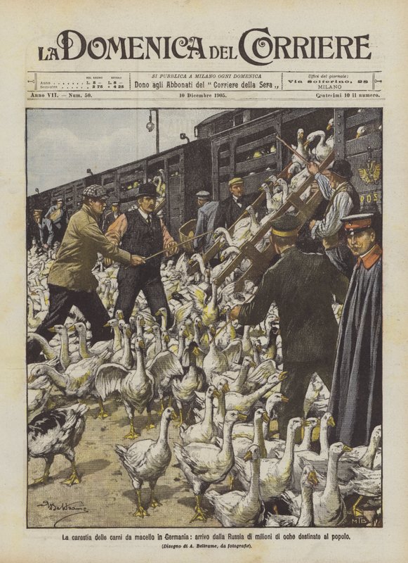 The Meat Shortage in Germany, Arrival from Russia of Millions of Geese Destined for the People by Achille Beltrame