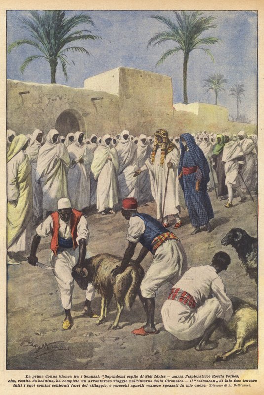The first white woman among the Senussi by Achille Beltrame