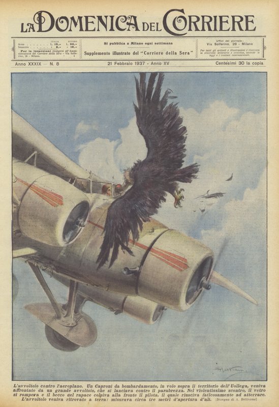 The Vulture Against the Airplane by Achille Beltrame