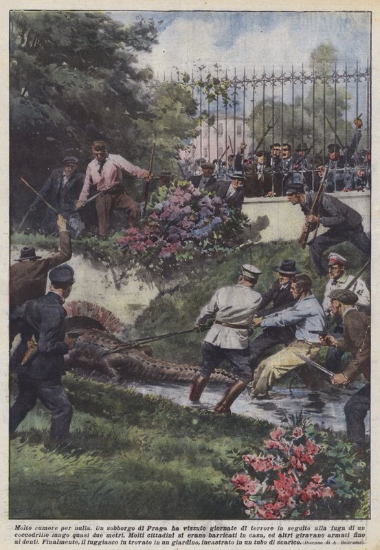 Much Ado About Nothing by Achille Beltrame