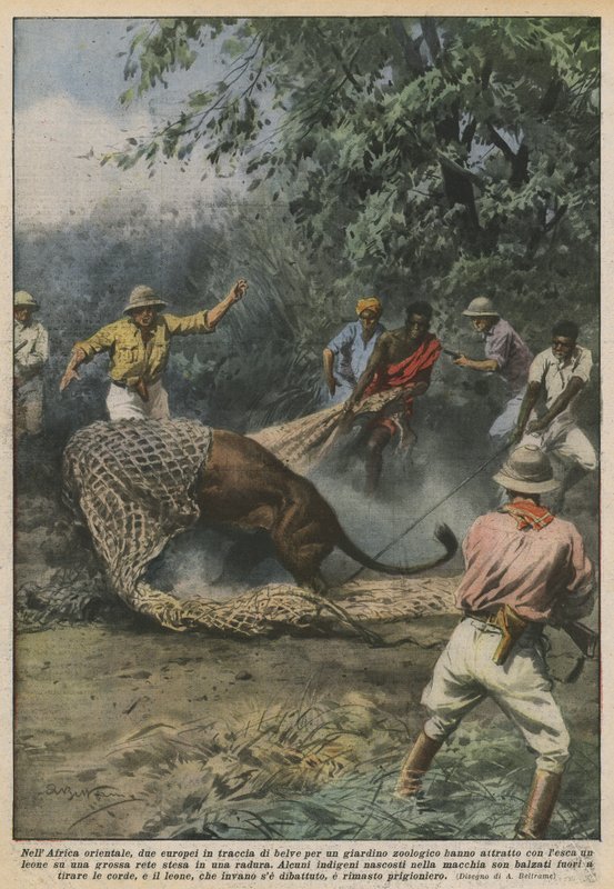 In East Africa, two Europeans tracking beasts for a zoo have attracted? by Achille Beltrame