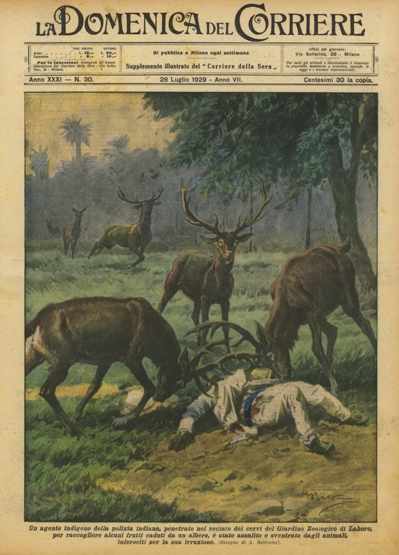 An Indigenous Indian Police Officer Entered the Deer Enclosure of the Zoological Garden? by Achille Beltrame