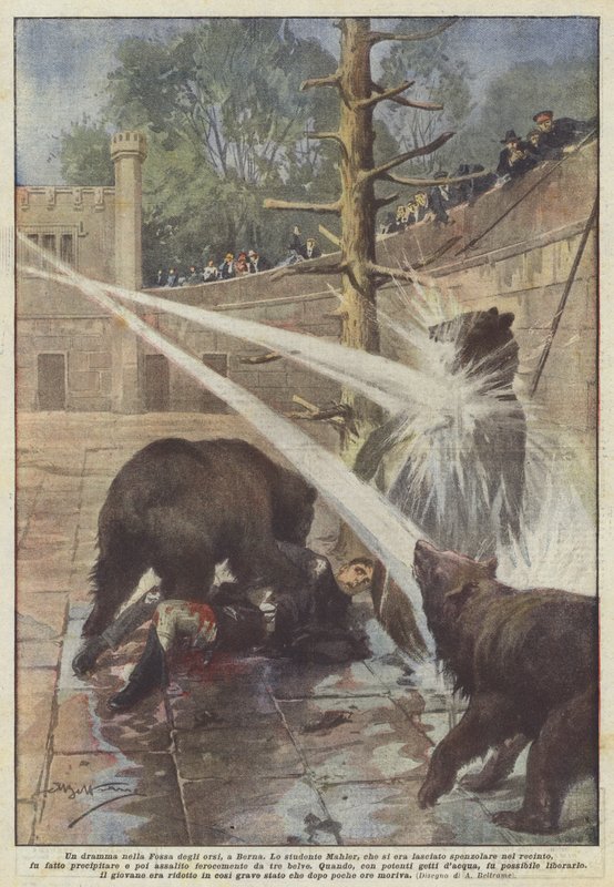 A Drama in the Bear Pit in Bern by Achille Beltrame