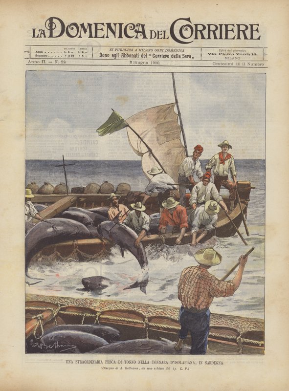 An Extraordinary Tuna Fishing in the Tonnara of Isolapiana, Sardinia by Achille Beltrame