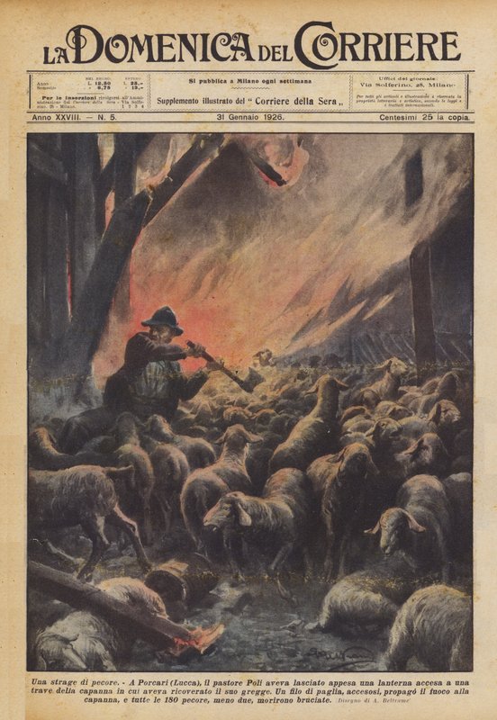 A Massacre of Sheep by Achille Beltrame