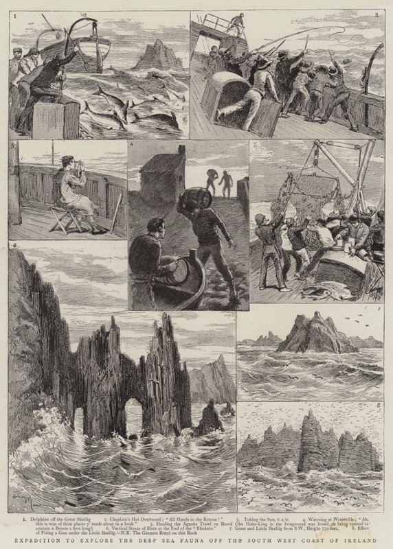Expedition to Explore the Deep Sea Fauna off the South West Coast of Ireland by Adrien Emmanuel Marie
