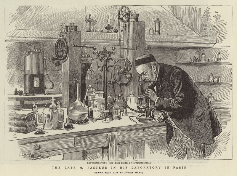 The Late M Pasteur in his Laboratory in Paris by Adrien Emmanuel Marie