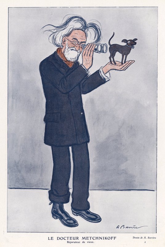 Elie Metchnikoff, Russian zoologist by Adrien Barrere