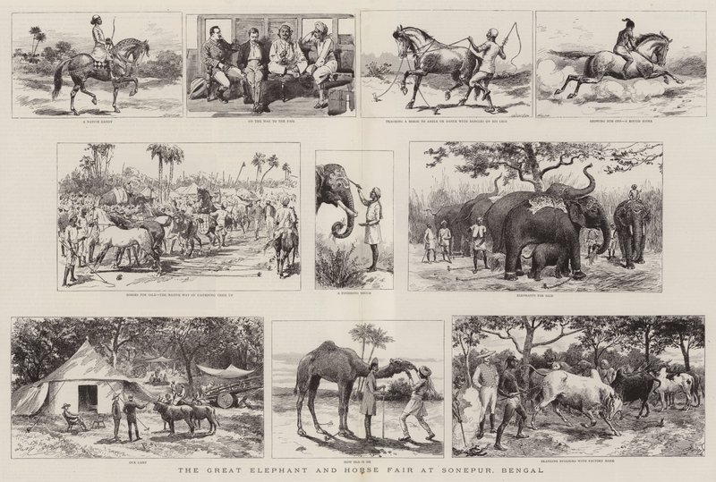 The Great Elephant and Horse Fair at Sonepur, Bengal by Adrien Emmanuel Marie