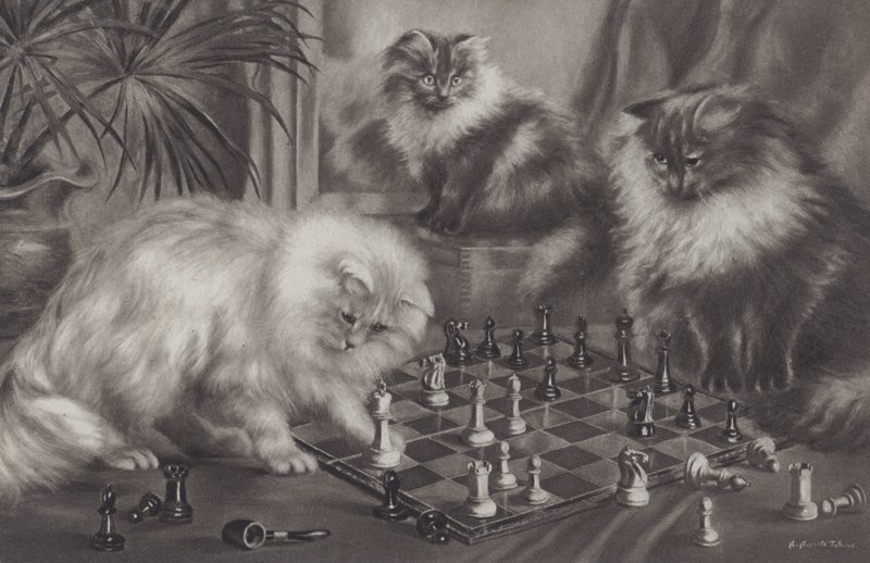 Group of cats playing with chess pieces by Agnes Augusta Talboys