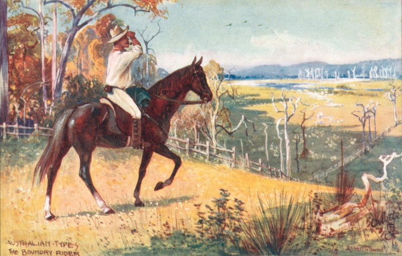 Australian types: Boundary Rider by Albert Henry Fullwood