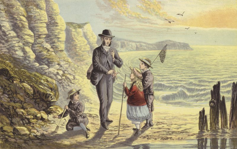 On the Sea Shore by Alexander Francis Lydon