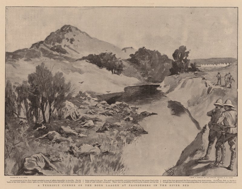 A Terrible Corner of the Boer Laager at Paardeberg in the River Bed by Alexander Stuart Boyd