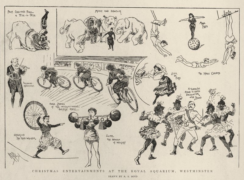 Christmas Entertainments at the Royal Aquarium, Westminster by Alexander Stuart Boyd