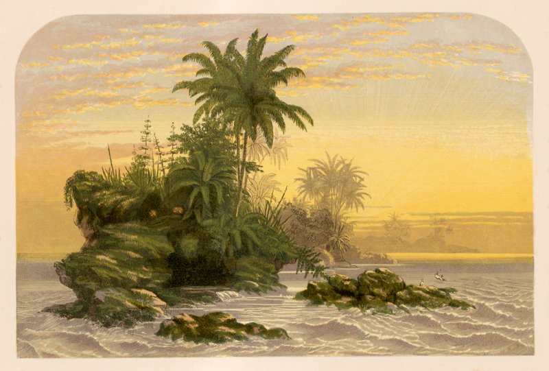 Illustration for Gray