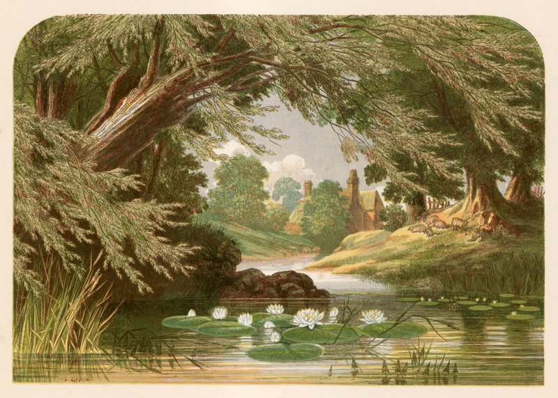 Illustration for Mrs Hemans