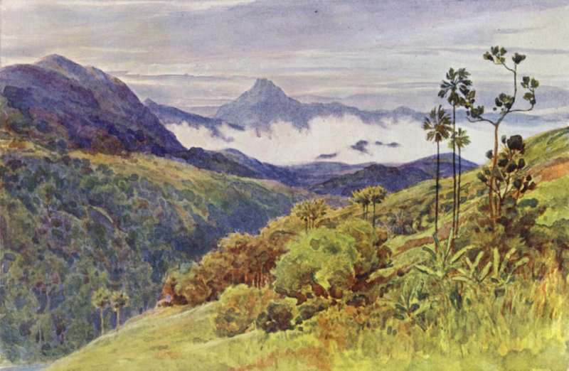 Morning Mists in the Valley of the Mahawelli Gangha by Alexander Henry Hallam Murray