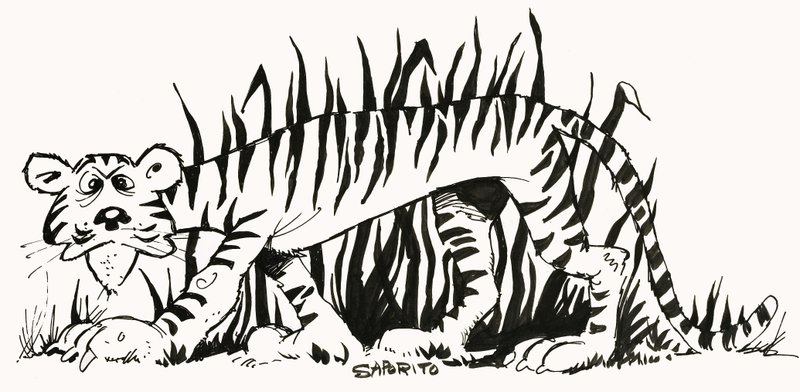 Fact-Finder: Why Are Tigers Striped? by Alf Saporito