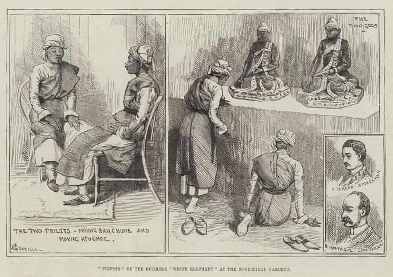 Priests of the Burmese White Elephant at the Zoological Gardens by Alfred Courbould