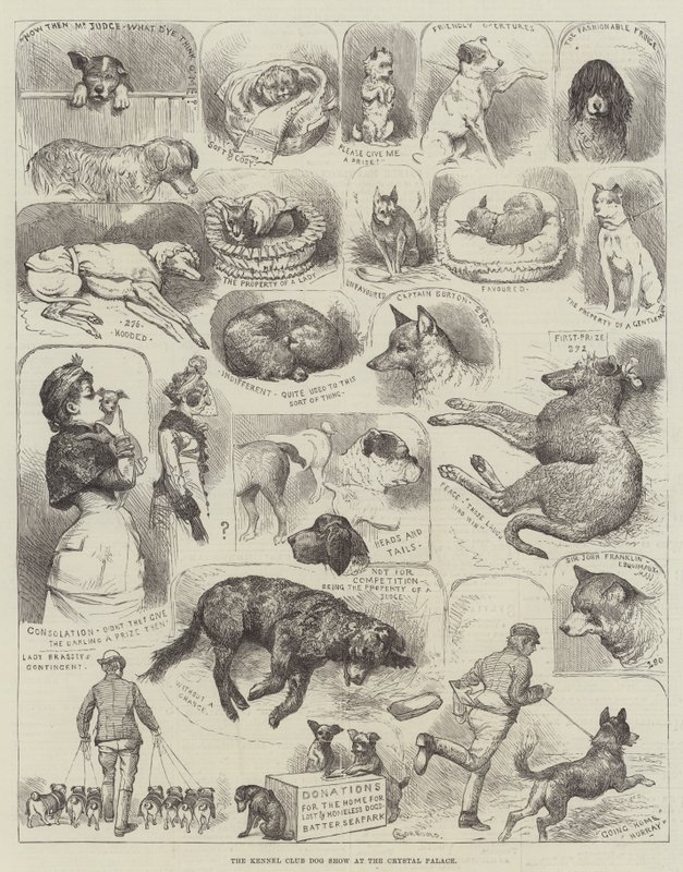 The Kennel Club Dog Show at the Crystal Palace by Alfred Courbould
