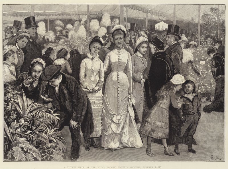 A Flower Show at the Royal Botanic Society