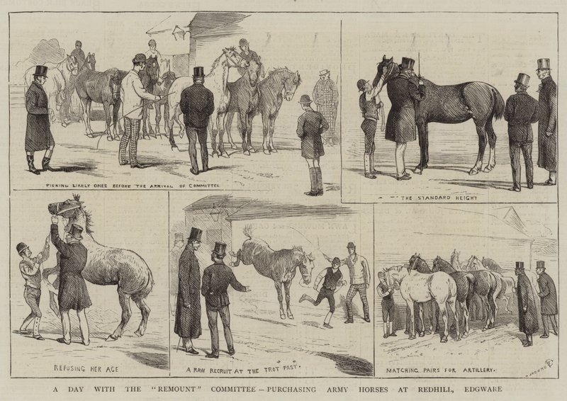 A Day with the Remount Committee, purchasing Army Horses at Redhill, Edgware by Alfred Chantrey Corbould