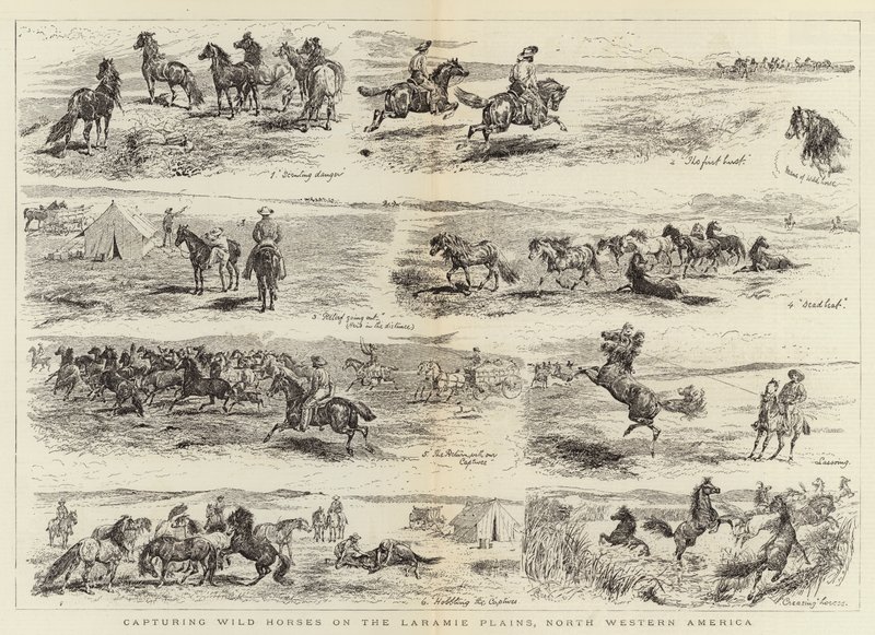 Capturing Wild Horses on the Laramie Plains, North Western America by Alfred Chantrey Corbould