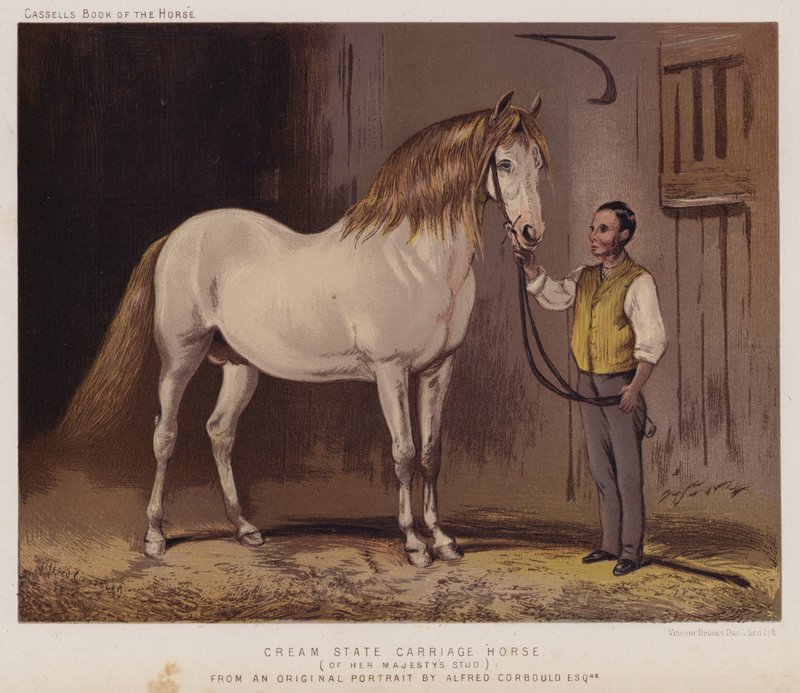 Cream State Carriage Horse, of Her Majesty