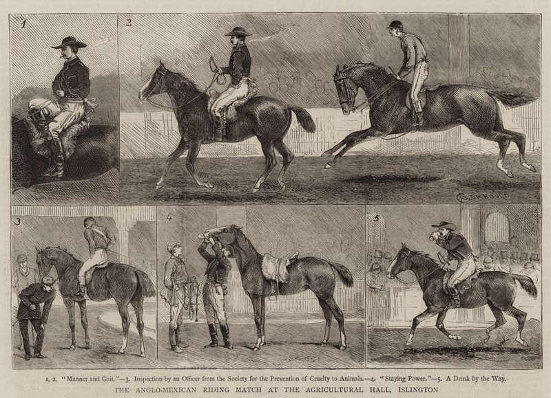The Anglo-Mexican Riding Match at the Agricultural Hall, Islington by Alfred Chantrey Corbould