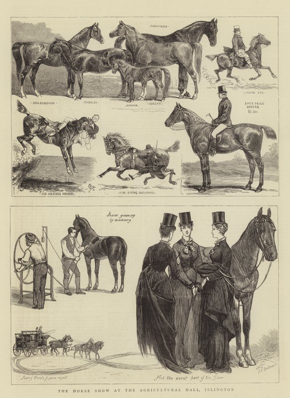 The Horse Show at the Agricultural Hall, Islington by Alfred Chantrey Corbould