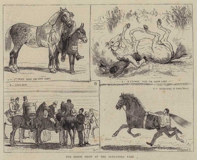 The Horse Show at the Alexandra Park by Alfred Chantrey Corbould