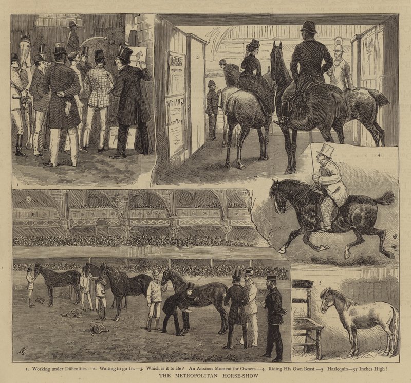 The Metropolitan Horse-Show by Alfred Chantrey Corbould