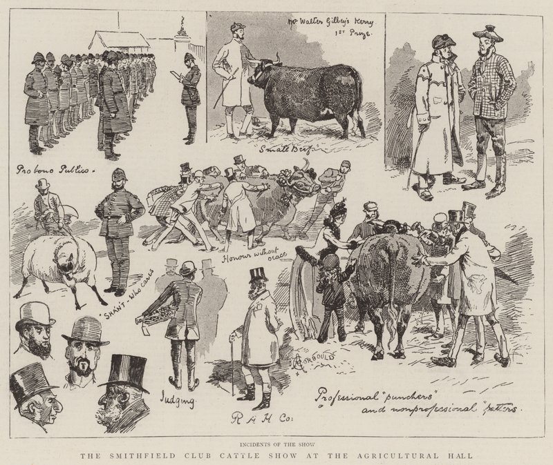 The Smithfield Club Cattle Show at the Agricultural Hall by Alfred Chantrey Corbould