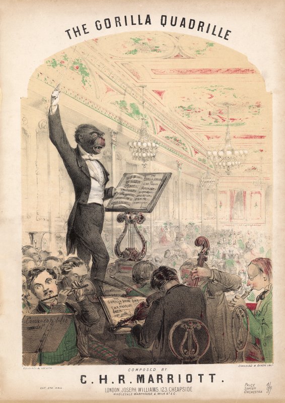 The Gorilla Quadrille by Alfred Concanen