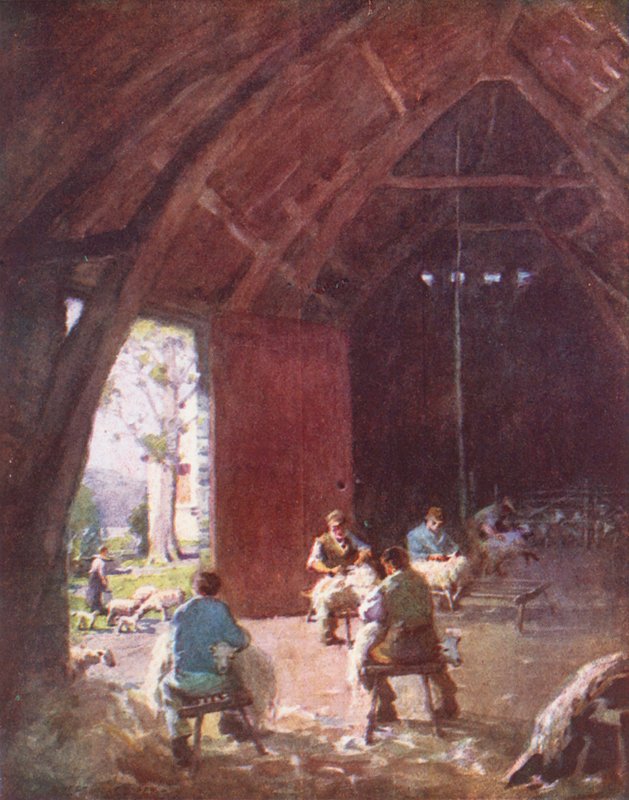 Lake District: Sheep-Shearing, Esthwaite Hall Farm by Alfred Heaton Cooper