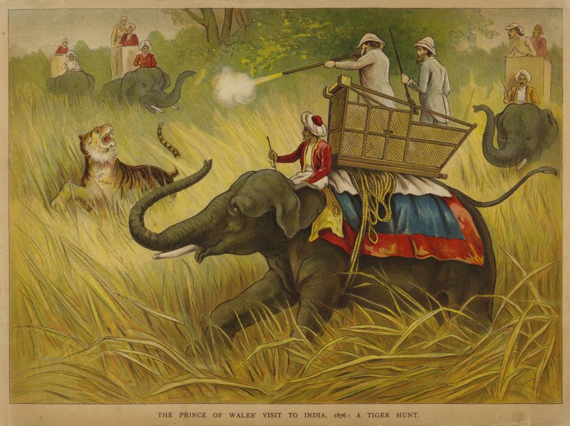 Edward, Prince of Wales, shooting tigers on a visit to India by Alfred Johnson