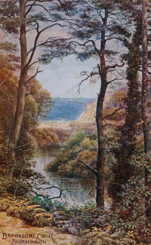 Branksome Chine, Bournemouth by Alfred Robert Quinton
