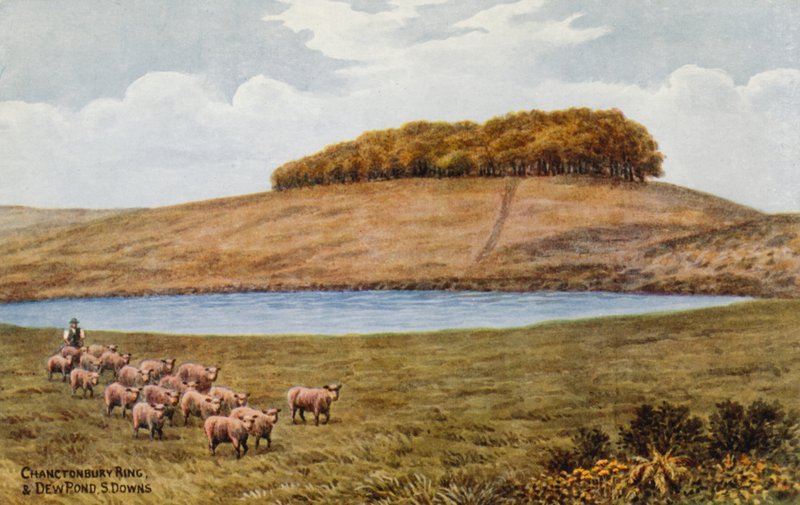 Chanctonbury Ring, and Dew Pond, S Downs by Alfred Robert Quinton